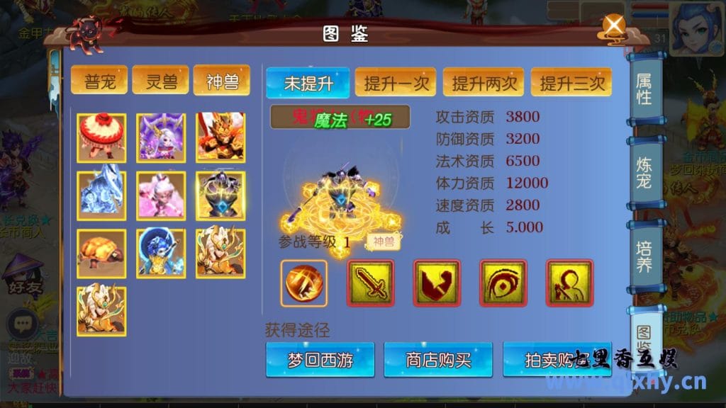 20240421185226181-19