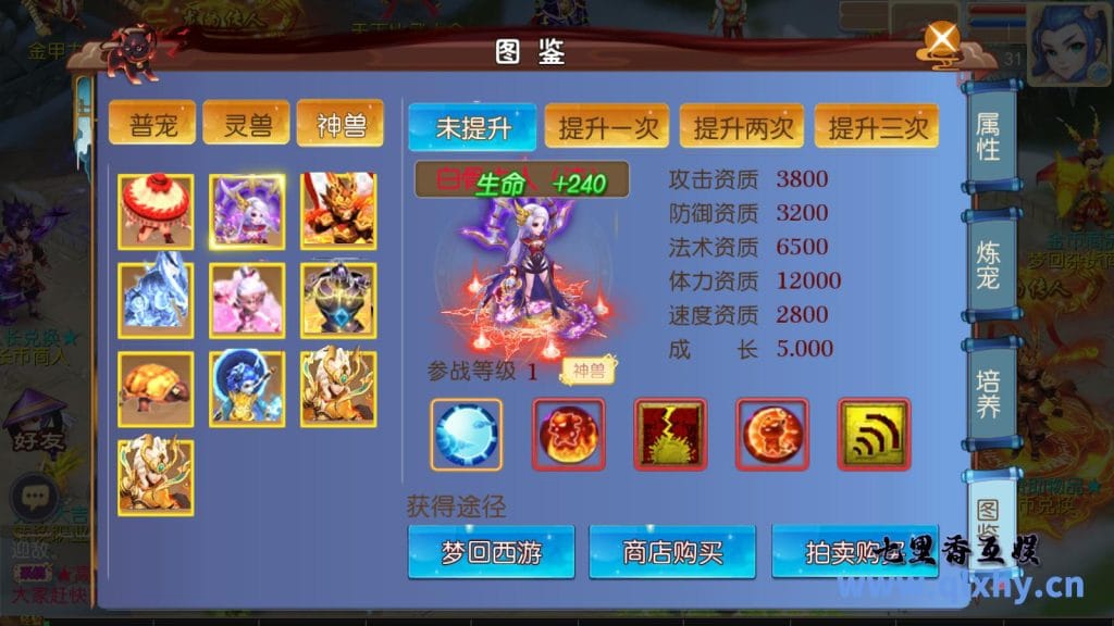 20240421185226882-26