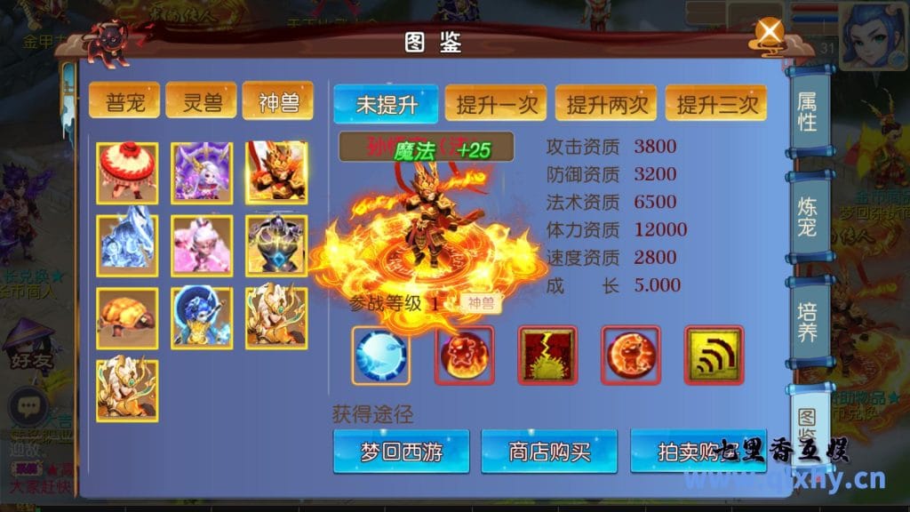 20240421185233216-16