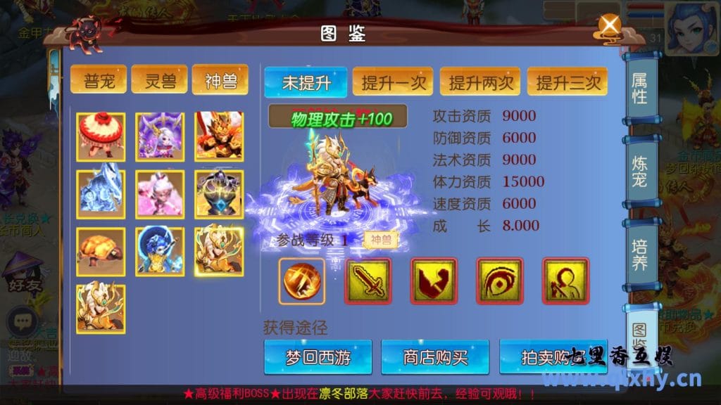 20240421185234943-22