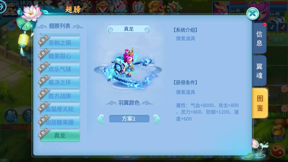 20241016091036135-21