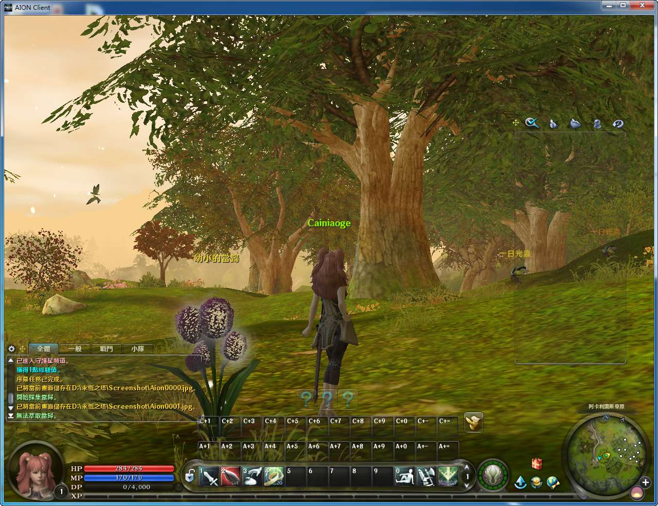 MMORPG大型3D端游【永恒之塔4.5台服原版】最新整理WIN系服务端 PC客户端 详细搭建教程