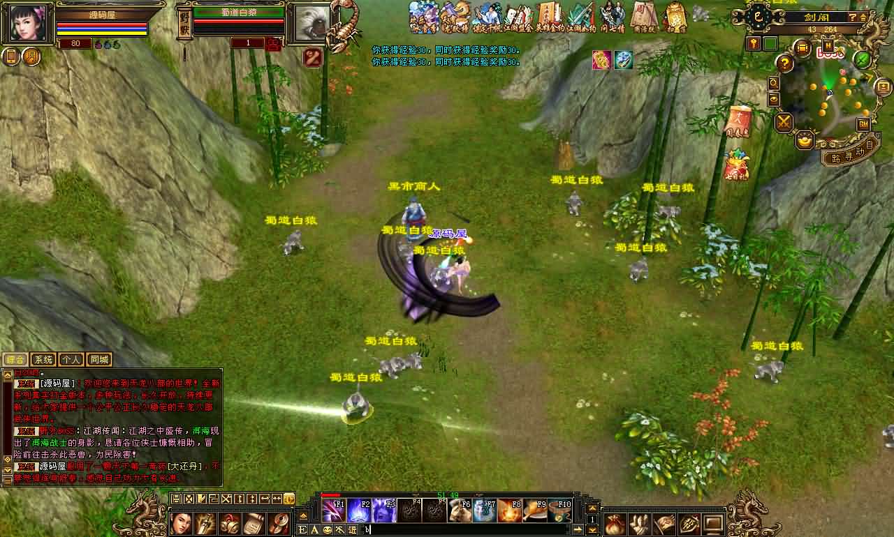 经典武侠端游【天龙八部之极致大背包新雕纹武道三】最新整理单机一键即玩镜像端 Linux手工服务端 PC客户端 GM工具 详细搭建教程